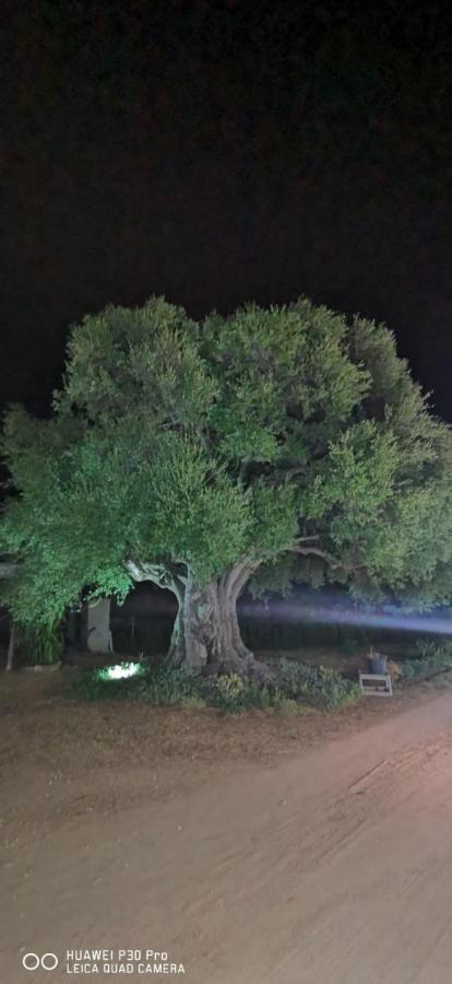 Azienda Multifunzionale S'Ozastro Marinella  Buitenkant foto